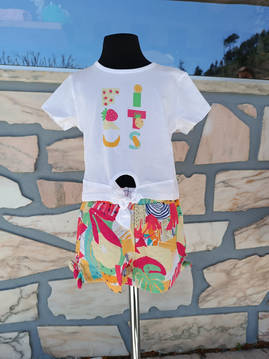 Conjunto Multicor