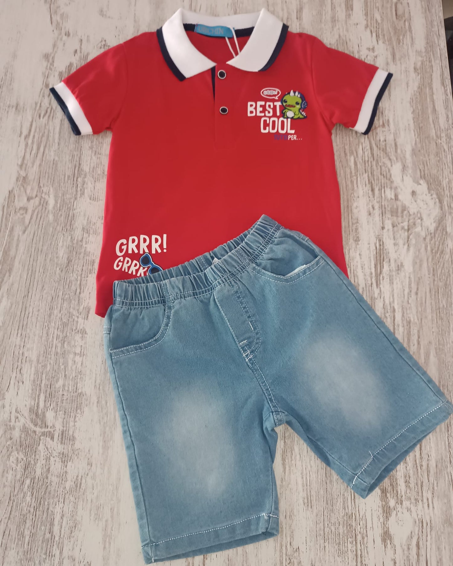 Conjunto Dinossauro